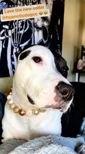 Butterscotch Glam Bead Collar