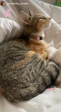 Load image into Gallery viewer, Pink Midnight Safari MINI [Small Dog/Cat Bead Collar]