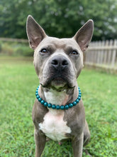 Load image into Gallery viewer, Winter Teal Ceramic Bead Collar