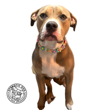 Load image into Gallery viewer, 🟧 18.5&quot; Slip On (Rose Gol1 O-Ring) Field of Daisies 🌼 [DECORATIVE ONLY] Bead Collar - PRE-MADE/FINAL SALE