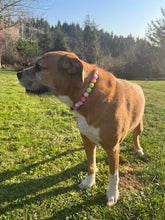 Load image into Gallery viewer, Pink Sunset Tie Dye Acrylic Bead Collar