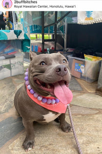 Purple Dream Bead Collar