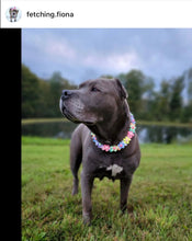 Load image into Gallery viewer, 🟧 18.5&quot; Slip On (Rose Gol1 O-Ring) Field of Daisies 🌼 [DECORATIVE ONLY] Bead Collar - PRE-MADE/FINAL SALE