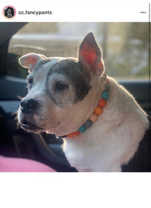 Orange Skyline Acrylic Bead Collar