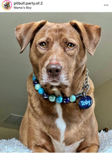 Load image into Gallery viewer, Blue Sea Ceramic Bead Collar