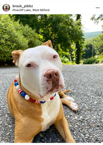 Americana Glam Bead Collar