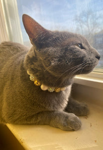 Pop the Bubbly MINI Glam Collar [Small Dog/Cat Bead Collar]