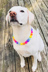 Electric Rainbow Bead Collar