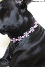 Load image into Gallery viewer, Pink &amp; Purple Crystal Flowers 🌸 Acrylic Bead Collar