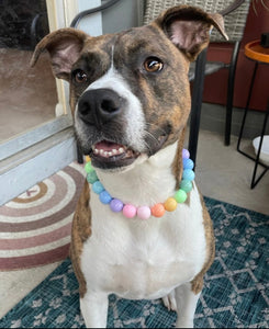 Pastel Rainbow Acrylic Bead Collar