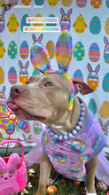 Load image into Gallery viewer, Lavender Rain Acrylic Bead Collar [Scuffed]