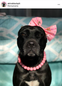 Pink Waves Resin Bead Collar