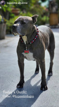 Load image into Gallery viewer, Burgundy Hexagon Matte Bead Collar