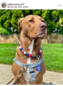 Americana Glam Bead Collar