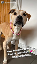 Load image into Gallery viewer, Pink Stars Bead Collar