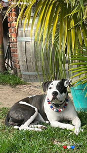 Americana Glam Bead Collar