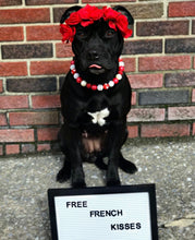 Load image into Gallery viewer, 🟧 21" Slip On (Black O-Ring) Valentine's Signature Bead Collar - PRE-MADE/FINAL SALE