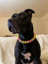 Load image into Gallery viewer, Citrus Sunrise Bead Collar