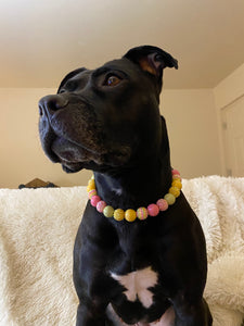 Citrus Sunrise Bead Collar