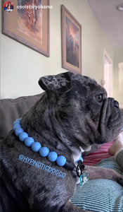 Dandelion Blue Acrylic Bead Collar