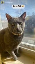Load image into Gallery viewer, Pop the Bubbly MINI Glam Collar [Small Dog/Cat Bead Collar]