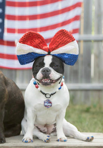 Americana Glam Bead Collar