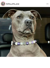 Load image into Gallery viewer, Purple Glitz Bead Collar