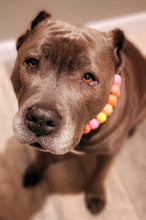 Load image into Gallery viewer, 🟧 19" Slip On (Black O-Ring) Sweet Tart Bead Collar - PRE-MADE/FINAL SALE