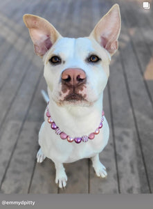 Enchanted Bead Collar