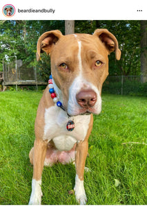 Americana Glam Bead Collar