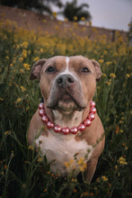 Load image into Gallery viewer, Chunky Rose Pink Pearls Acrylic Bead Collar