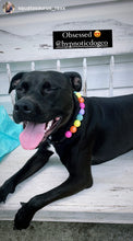 Load image into Gallery viewer, Electric Rainbow Bead Collar