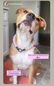 Pink Dusk Acrylic Bead Collar