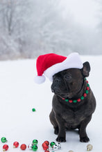 Load image into Gallery viewer, Christmas Frost Bead Collar