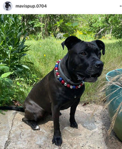 Sparkler 🎇 Bead Collar