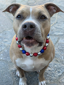 Sparkler 🎇 Bead Collar