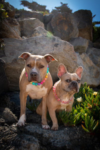 Boho Rainbow Acrylic Bead Collar