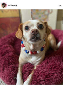 Americana Glam Bead Collar