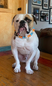 Orange Skyline Acrylic Bead Collar