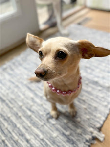 Mini Rose Pink Pearl [Small Dog/Cat Bead Collar]