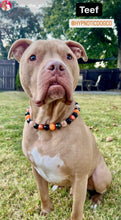 Load image into Gallery viewer, Pumpkin Spice Halloween Bead Collar