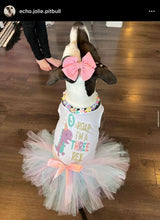 Load image into Gallery viewer, 🟧 18.5&quot; Slip On (Rose Gol1 O-Ring) Field of Daisies 🌼 [DECORATIVE ONLY] Bead Collar - PRE-MADE/FINAL SALE