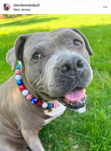 Americana Glam Bead Collar