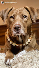 Load image into Gallery viewer, Butterscotch Glam Bead Collar