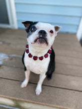 Load image into Gallery viewer, Burgundy Hexagon Matte Bead Collar