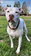 Load image into Gallery viewer, Christmas Glam Bead Collar