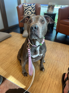 Watermelon Sugar Bead Collar