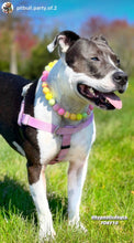 Load image into Gallery viewer, Citrus Sunrise Bead Collar