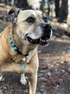 Rocket Blue [Scuffed] Acrylic Bead Collar