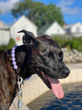 Load image into Gallery viewer, Lavender Rain Acrylic Bead Collar [Scuffed]